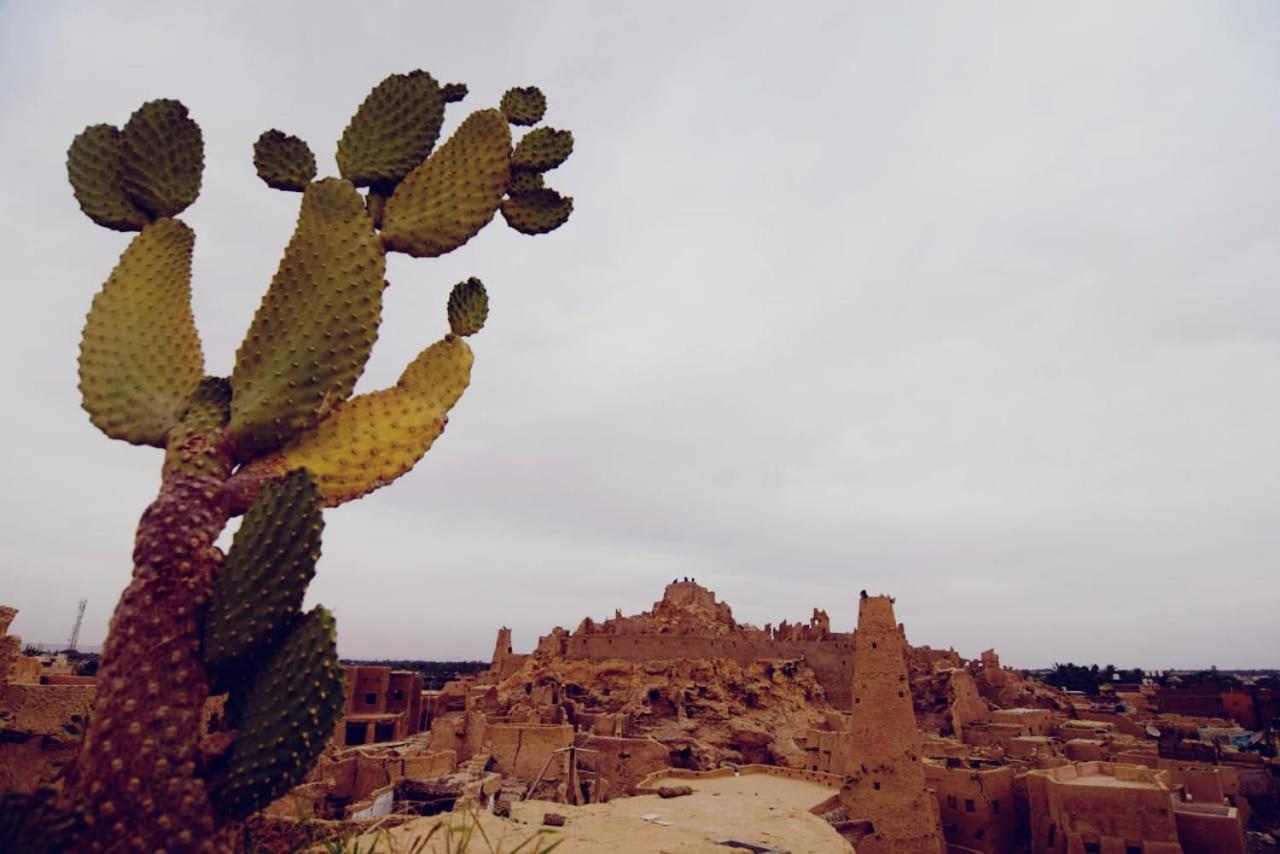 Nainshal Siwa Lägenhet Siwa Oasis Exteriör bild